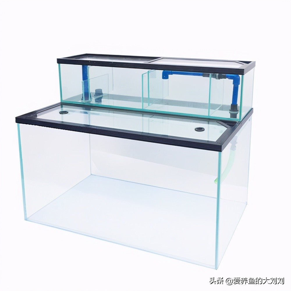 它的设计结构是仿照底滤来做的,但是由于是放在鱼缸上面,所以所能装填