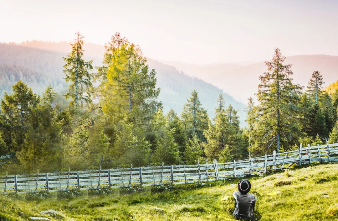 从天性上来讲，人本来就是快乐的 | 贝曼Ⅱ《生命·成长》第二季