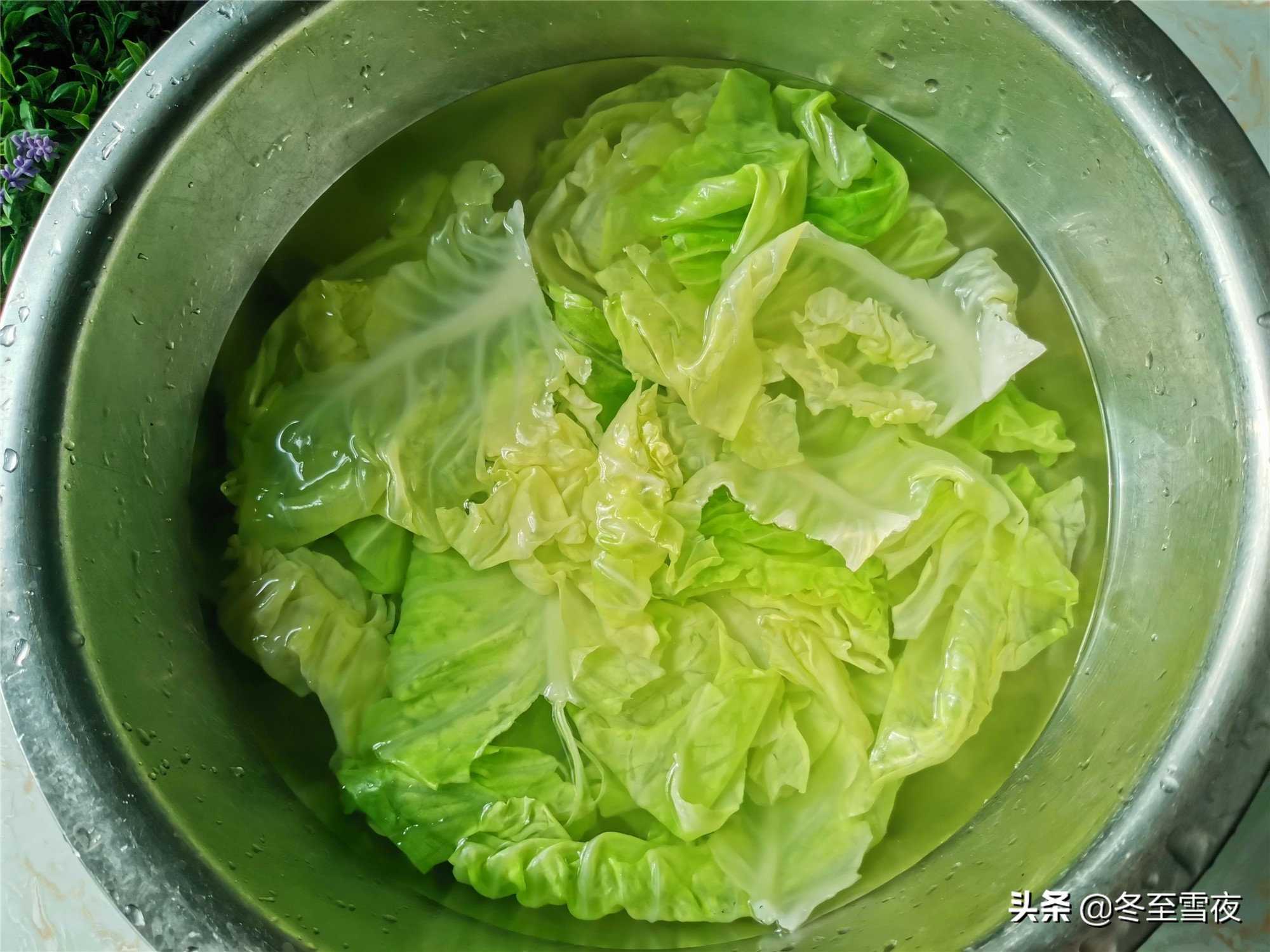 凉拌包菜的做法（好吃到舔盘子的下饭菜凉拌包菜）