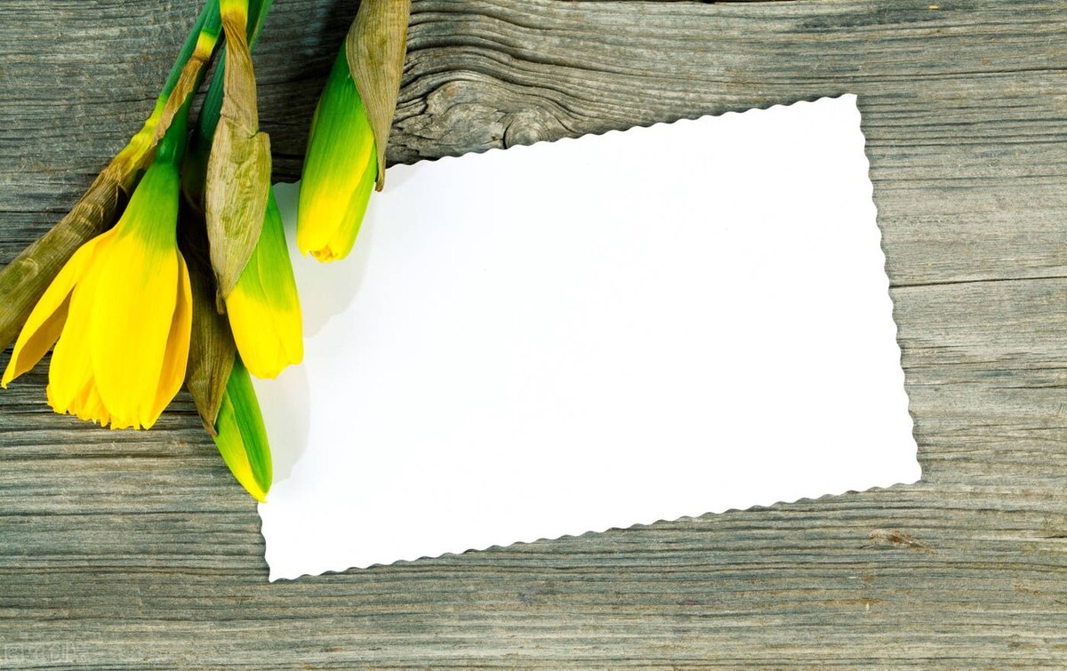 （精选6篇）大学建校xx周年庆典讲话、致辞汇编，可供学习参考