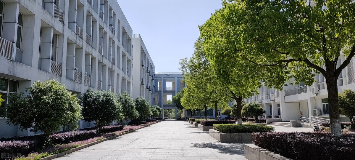 高考分数不够，没有考上本科怎么办？这两条路助你拿到本科毕业证