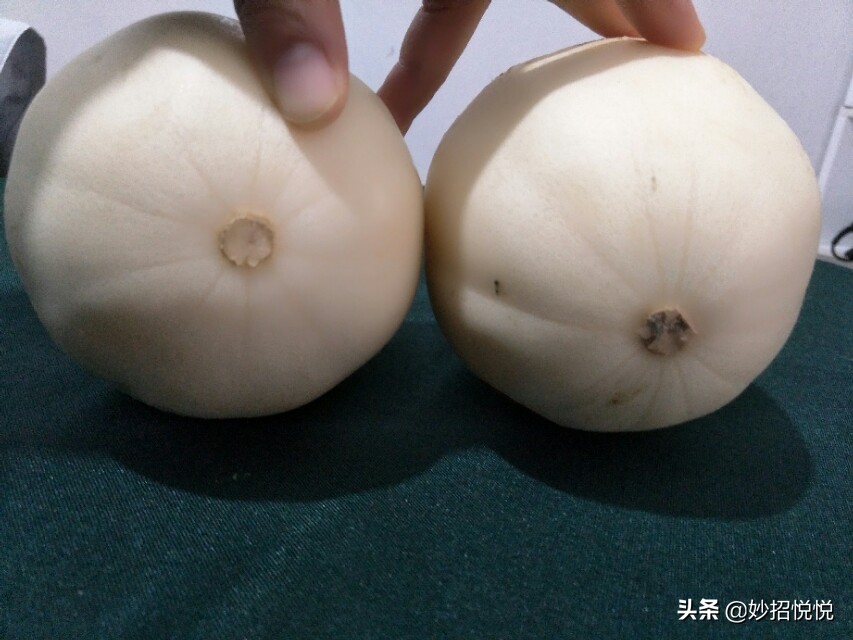 伊麗莎白瓜,伊麗莎白瓜的營養價值及功效與作用