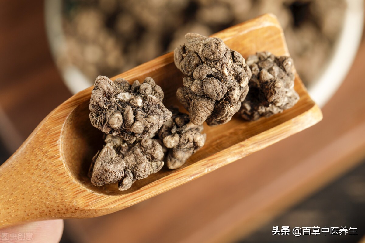 猫爪草胶囊有哪些功效猫爪草胶囊的用法和用量
