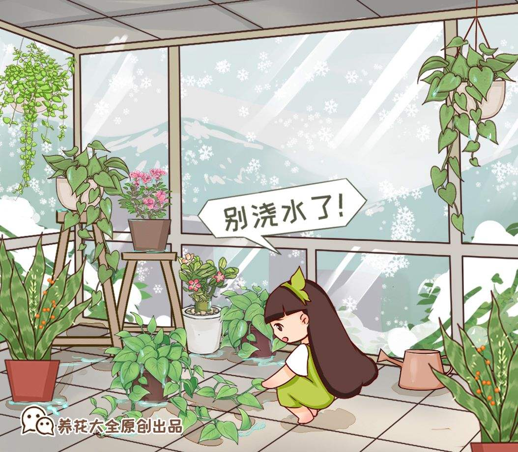 養(yǎng)花總是養(yǎng)不活，6個原因不能忽略，趕緊補救植物才越長越好