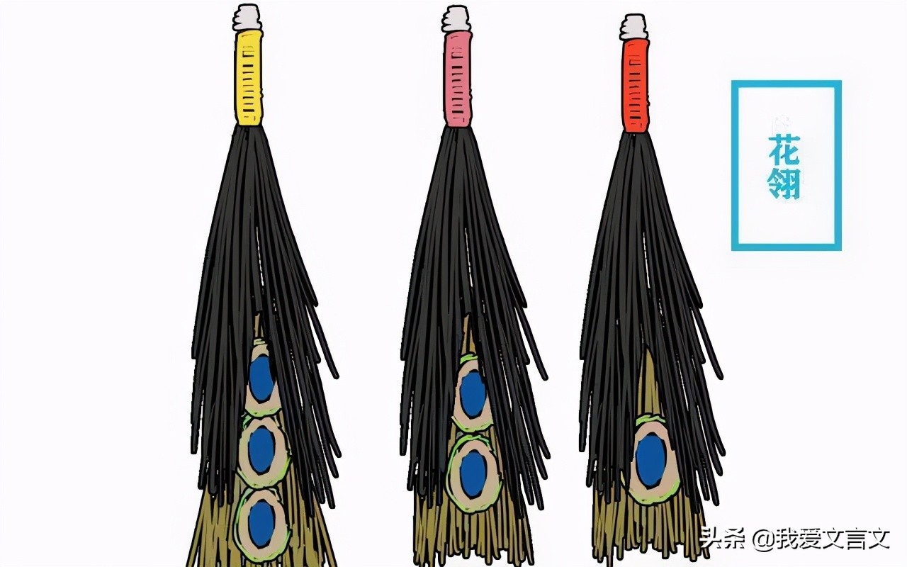 经典文言文赏析 | 南人捕孔雀