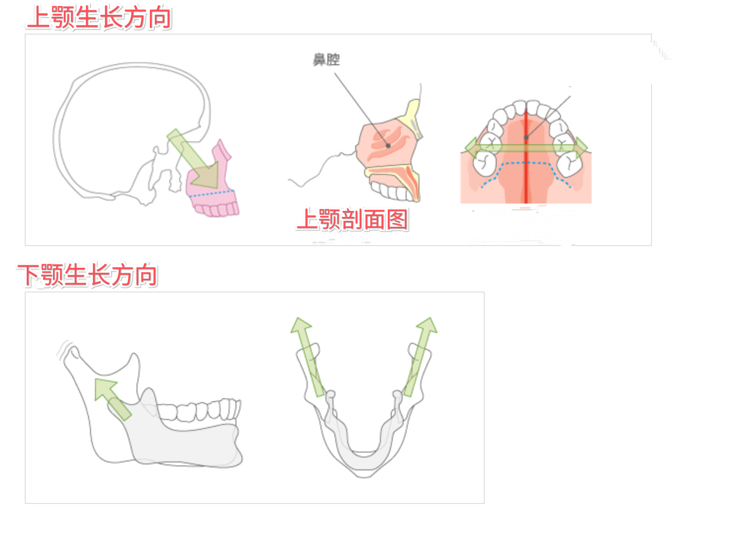 孩子外貌几岁定型？3个小秘诀有效提升颜值，让孩子越长越好看