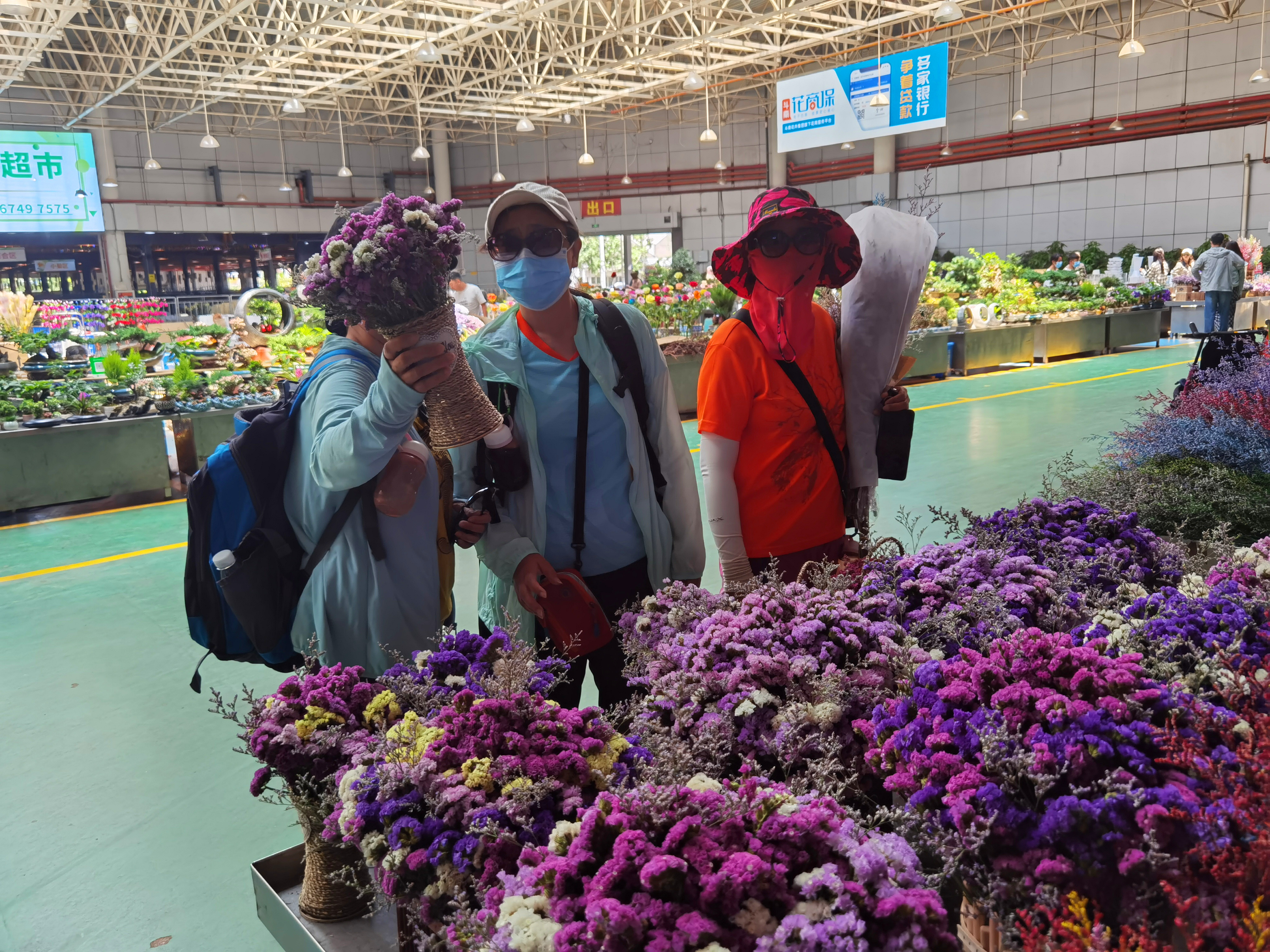 滇川藏24天之旅(五十一) 初探昆明斗南花卉交易市场