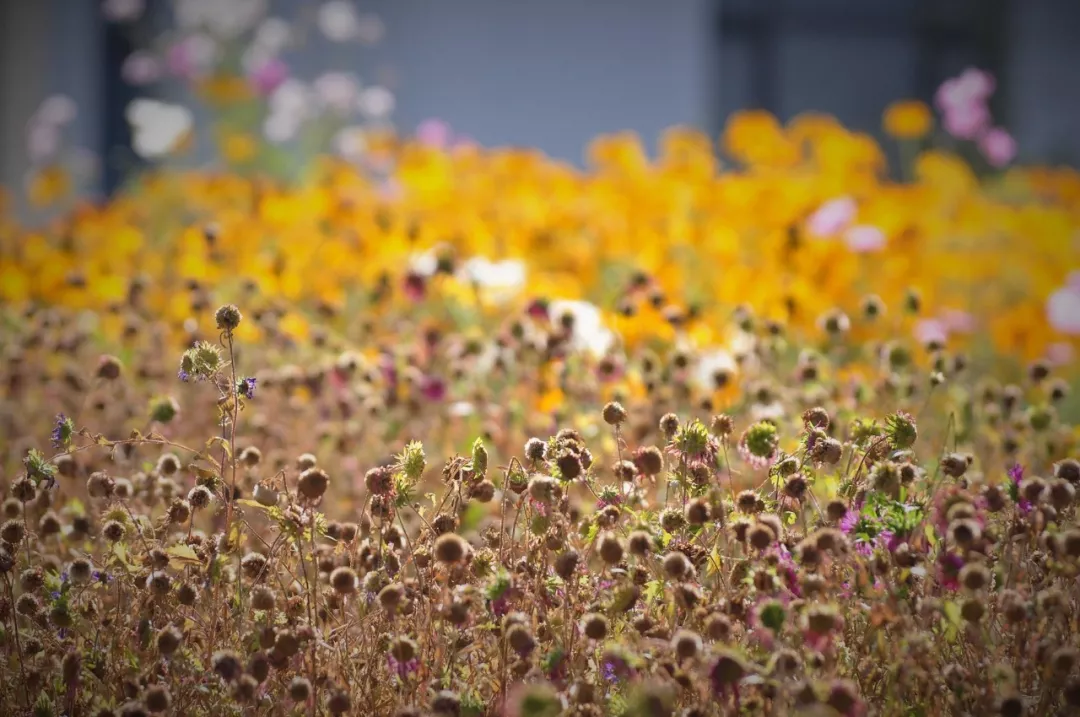 多少分，可以上兰州大学？