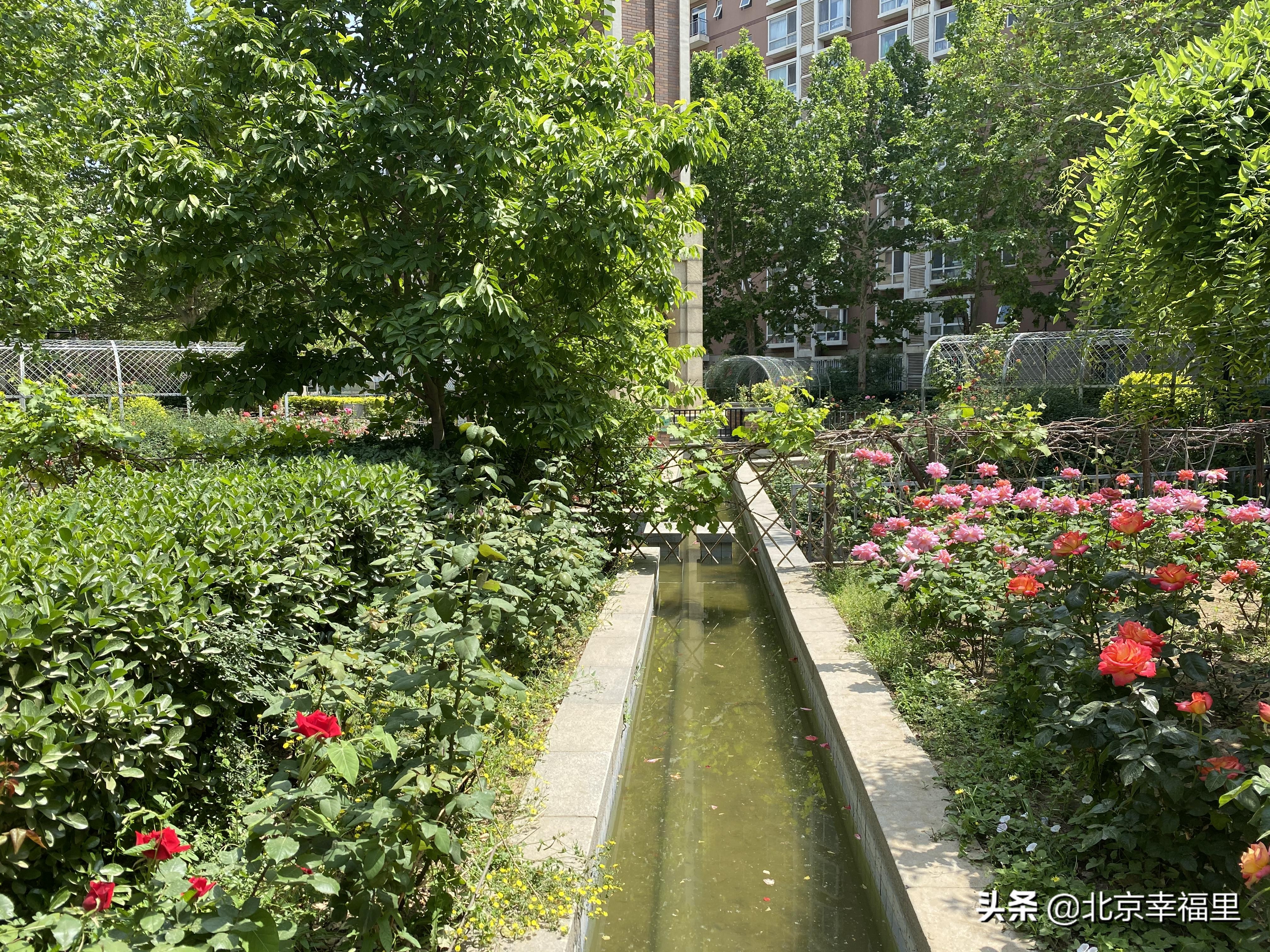 开门见绿、出门看花，城南这个花园式小区你喜欢吗？