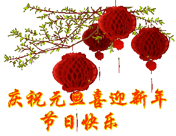 Happy  New  Year！新年快乐！