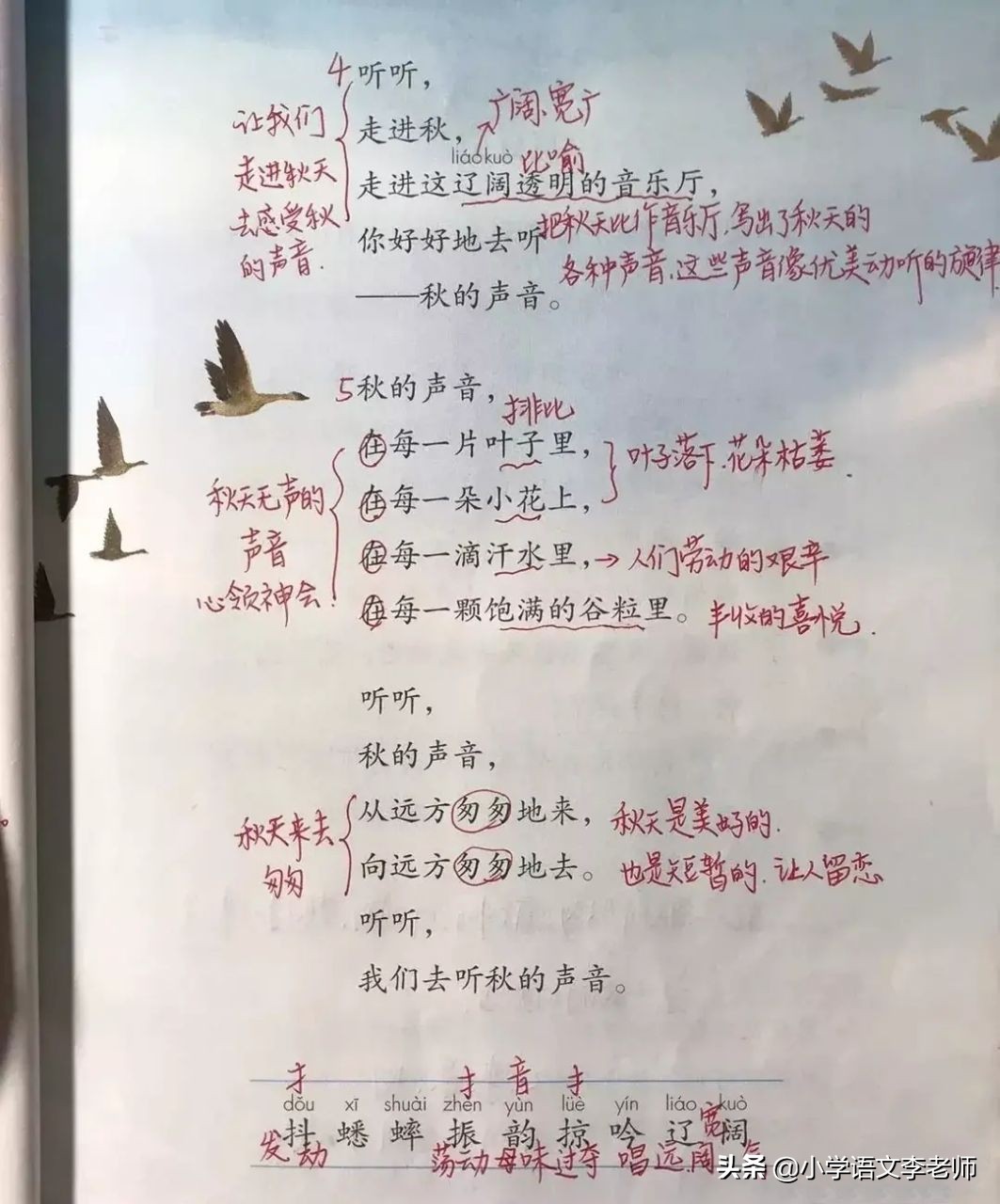 三年级语文上册《听听，秋的声音》全解，整理全面细致
