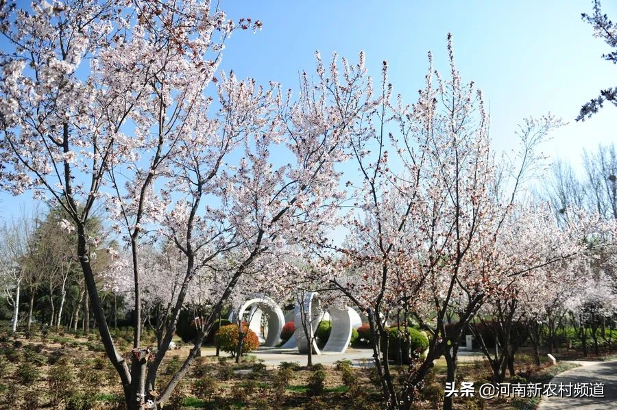 今日春分 ▎绿博园、园博园、方特等46家景区要恢复开放啦