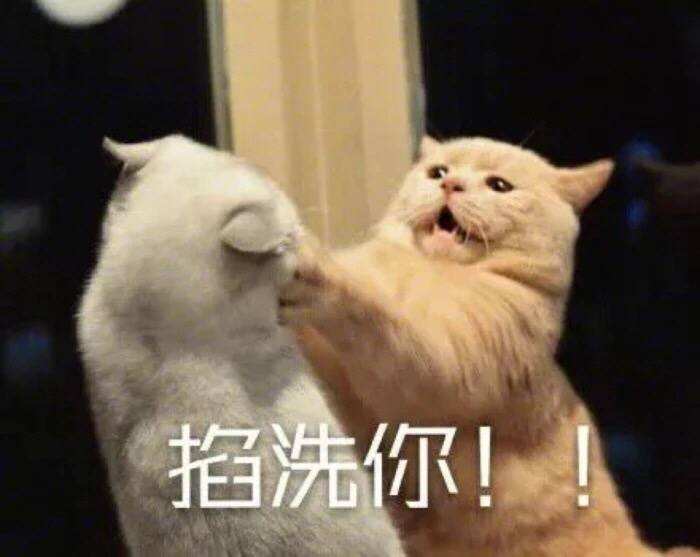 喵，读懂喵咪的语言——声音篇