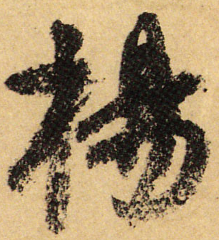 "杨" 姓的由来和汉字书法演变「书品百家姓」