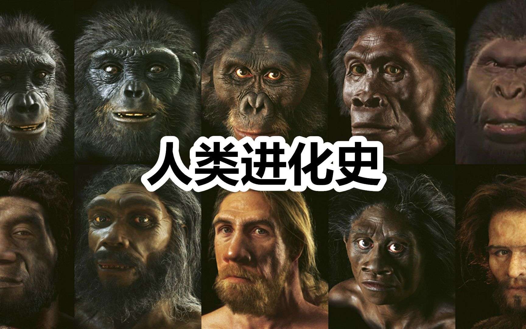 古代猿猴变人图片图片