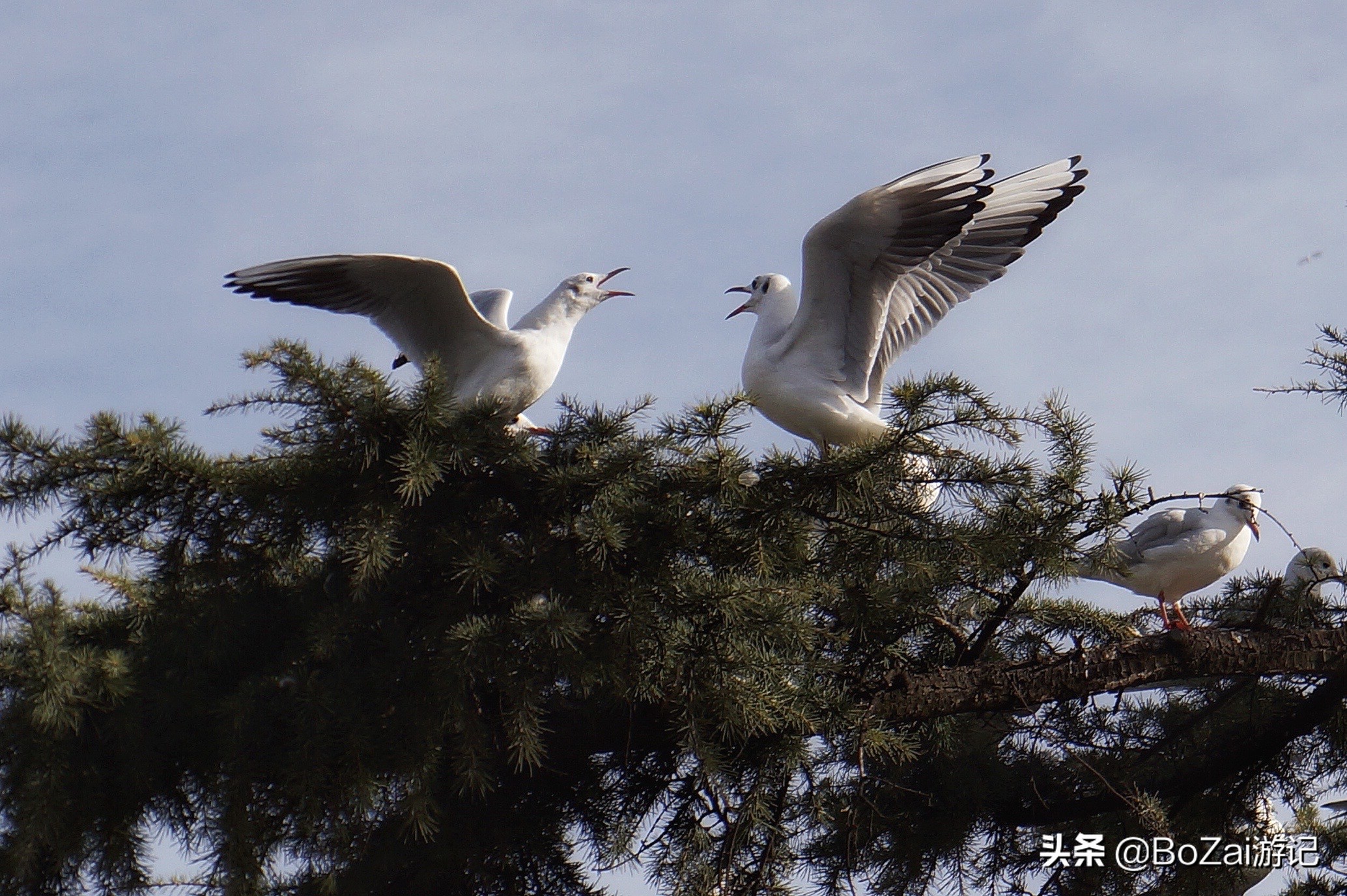 昆明有什么好玩的地方景点推荐，昆明必去的21个景点