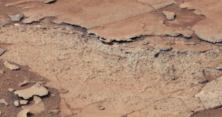 美国宇航局JPL的总工程师，印度理工学院校友，研究出火星直升机