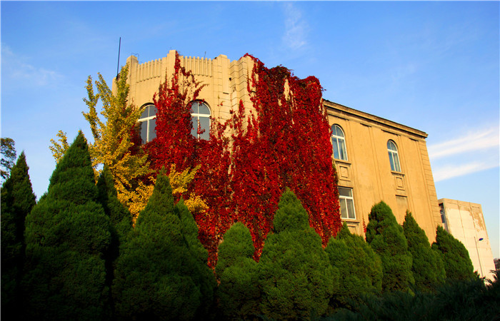 辽宁大学老建筑之哲理楼：凝聚历史风采 承载文化记忆