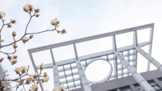 刚刚！北京市高考分数线公布！内附北京工商大学近三年分省录取线