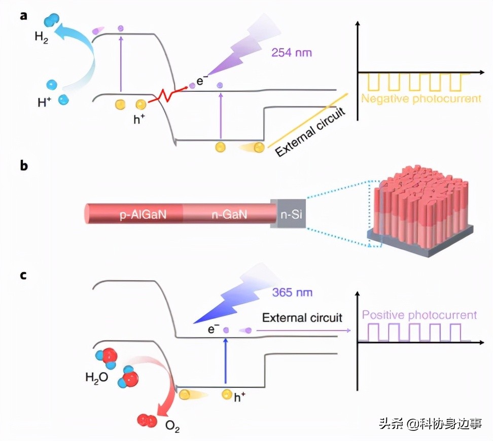 今日科技话题：恐龙软骨细胞、长寿命超导量子比特芯片、星际最大类肽键分子、五重孪晶金纳米晶