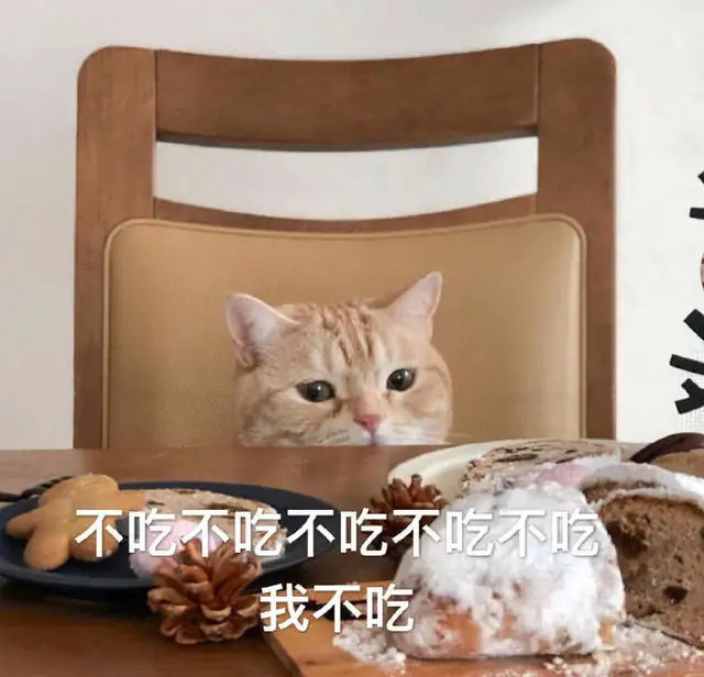 猫猫表情包合集｜你是猪头吗？