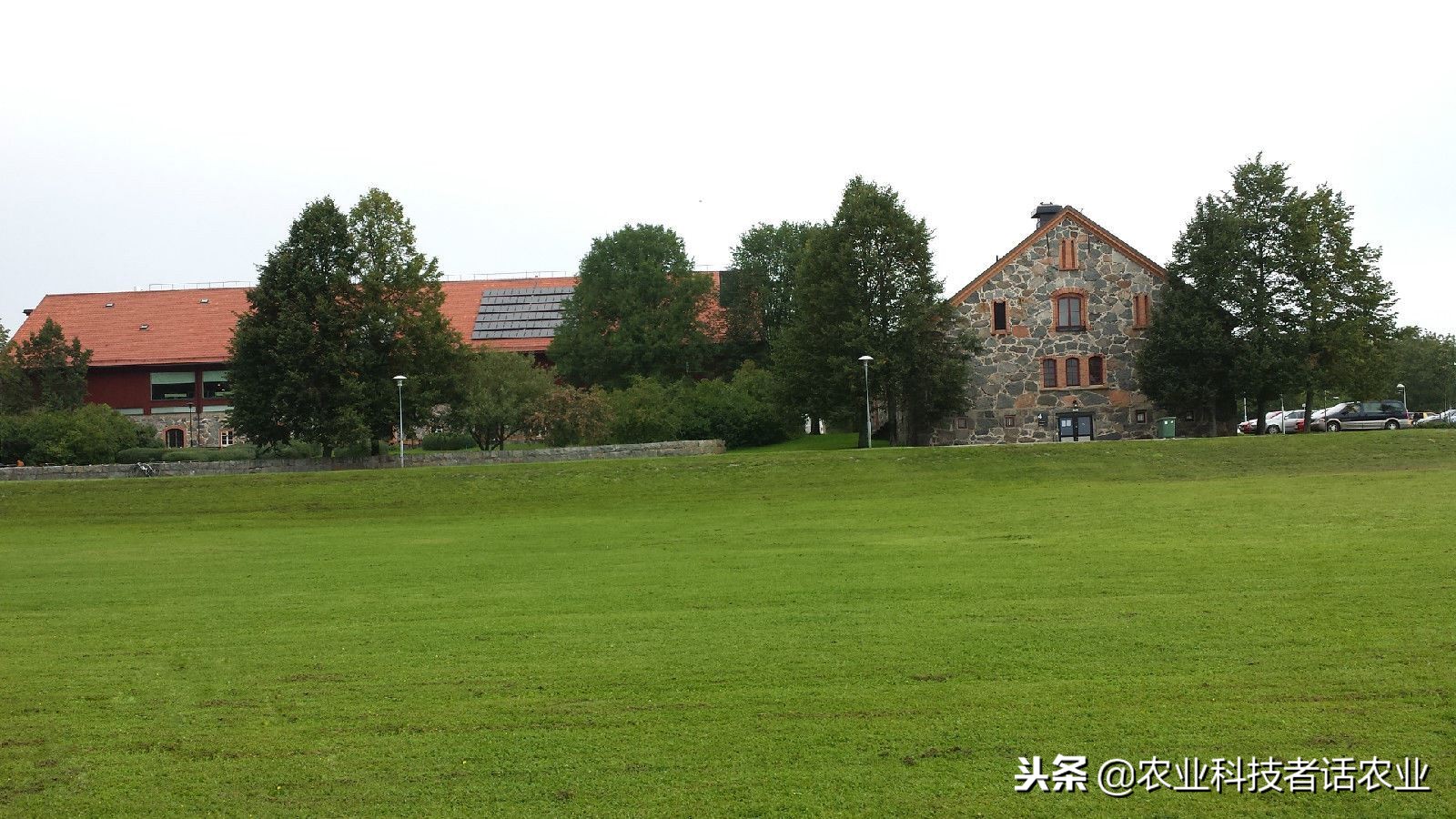 中国农大，荷兰农大，美国农大，日本农大，谁是世界第一农大