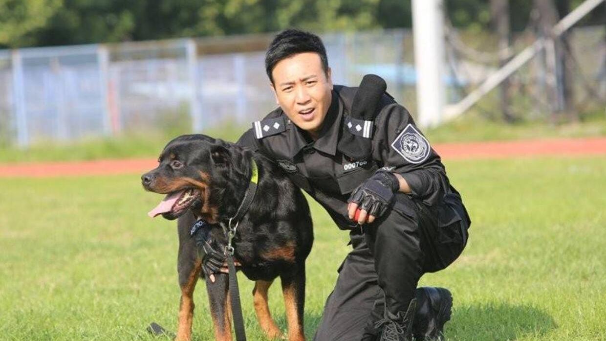 警花与警犬演员表介绍(警花与警犬2演员介绍及剧情分析)