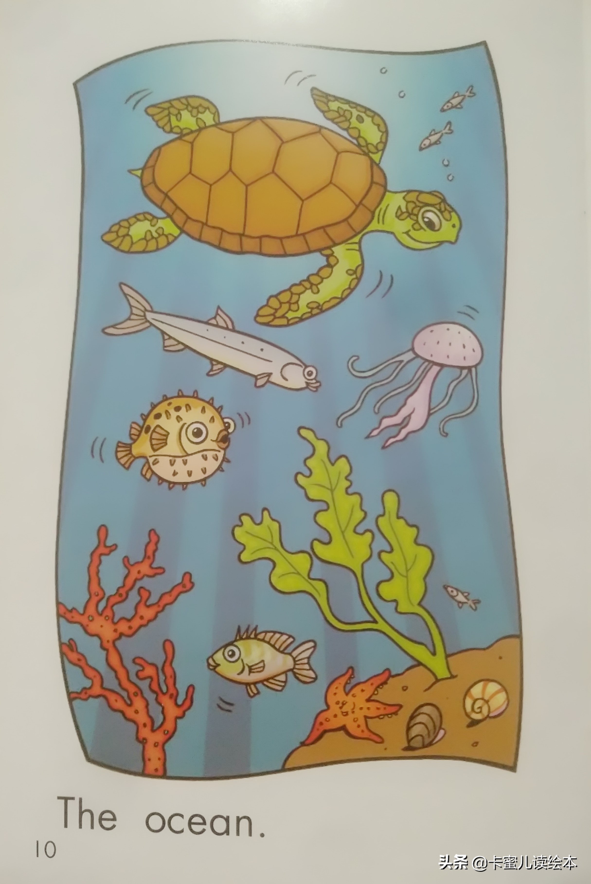 英文有声绘本故事《The Ocean》海洋