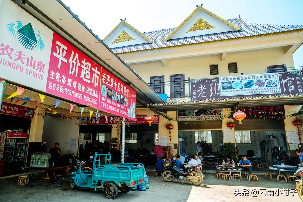 “普洱茶第一村”老班章，朝圣普洱茶之王