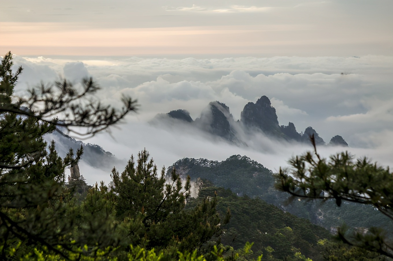 妙想黄山 奇思回潮|云海·云雾缭绕