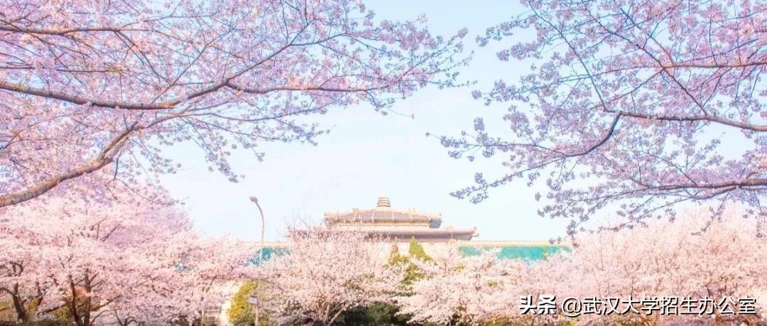 中国最美的大学（华春莹点赞）