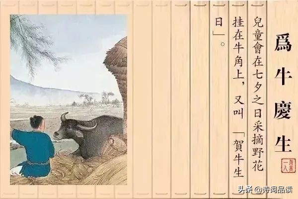 七夕节丨愿有岁月可回首，且以深情共白头