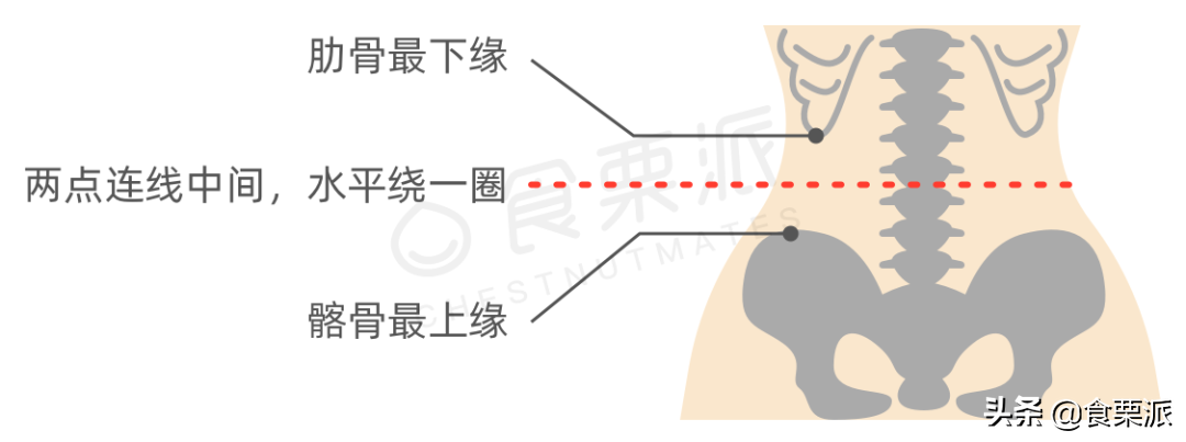 最新腰围标准出炉，快看看你达标了没