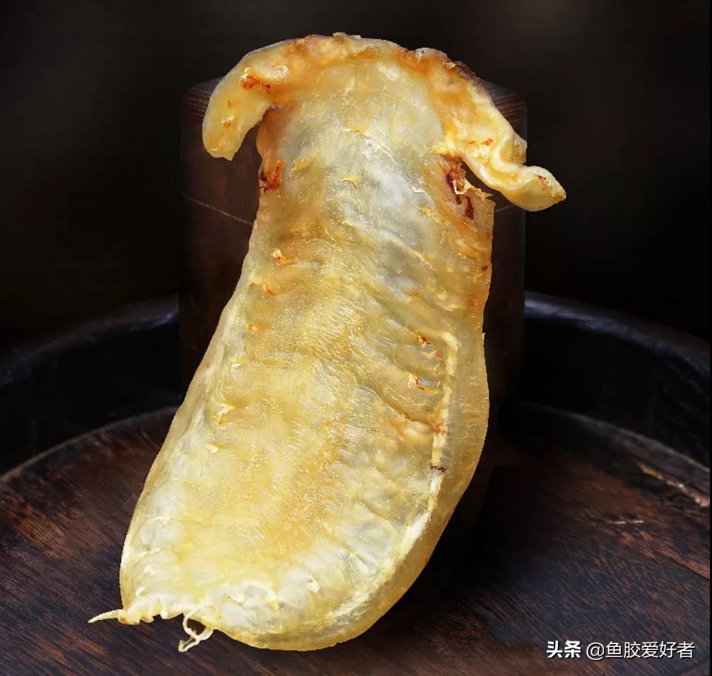 2不同品种的鱼胶,厚度也不同