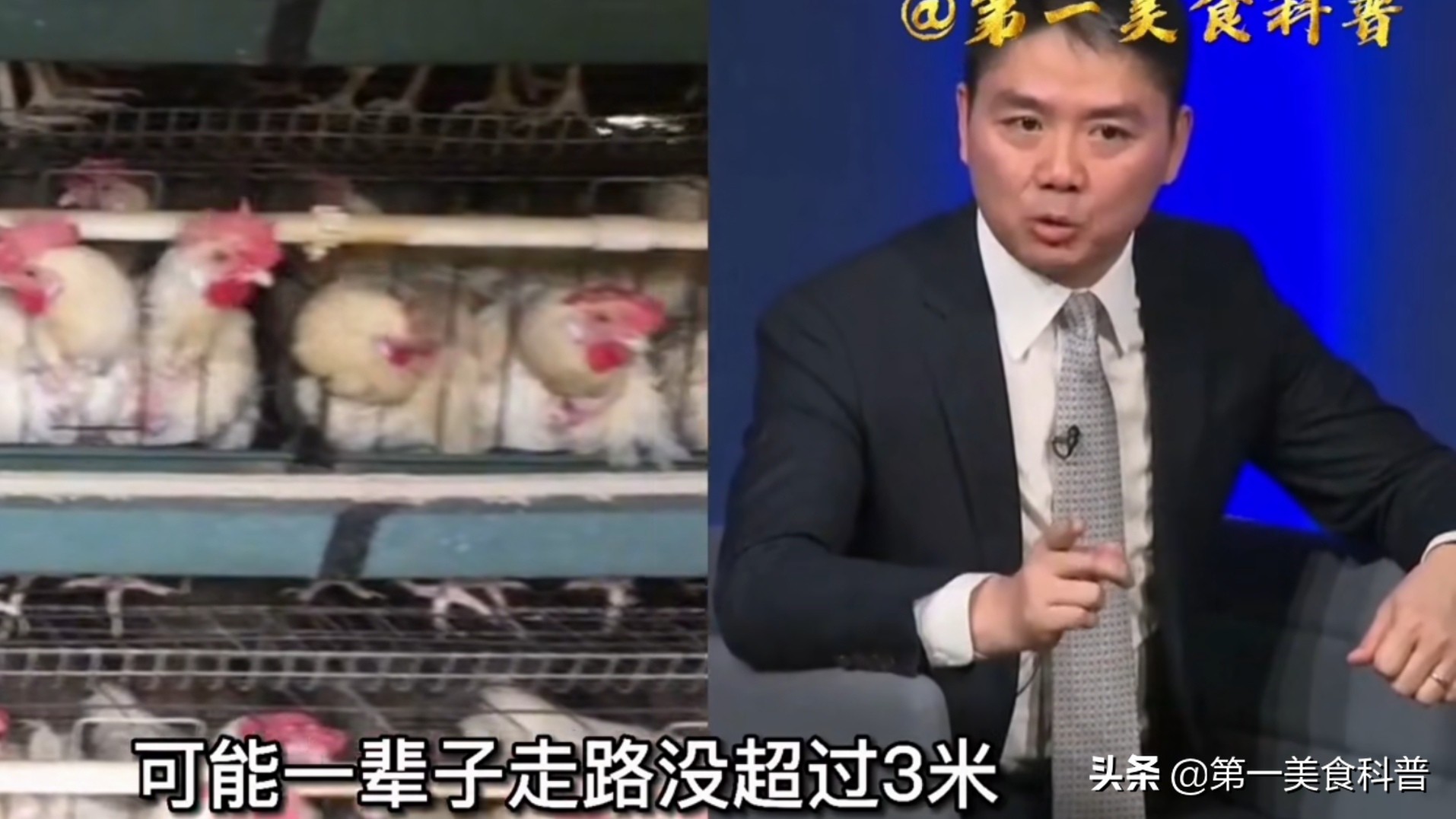 看看我们吃的鸡鸭子(看看我们吃的鸡鸭子图片)