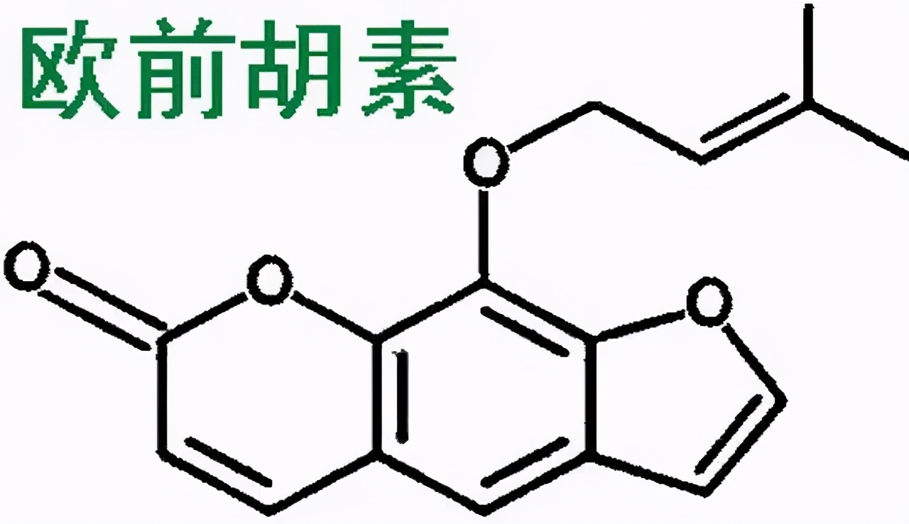 白芷，没它别做烧鸡