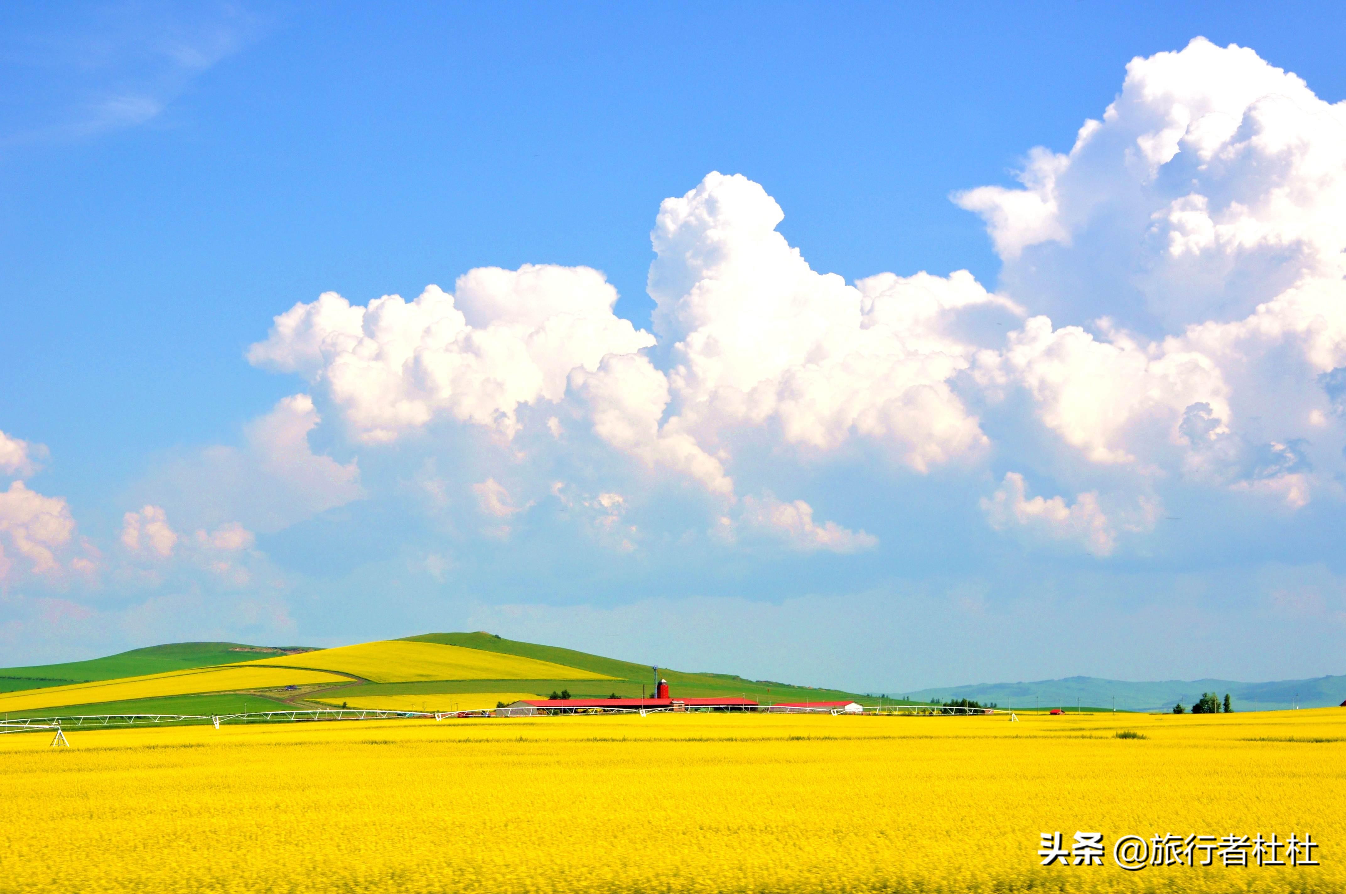 形容农场的句子(一念草原) - 火句子