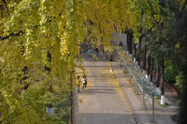 再见，宜宾职业技术学院