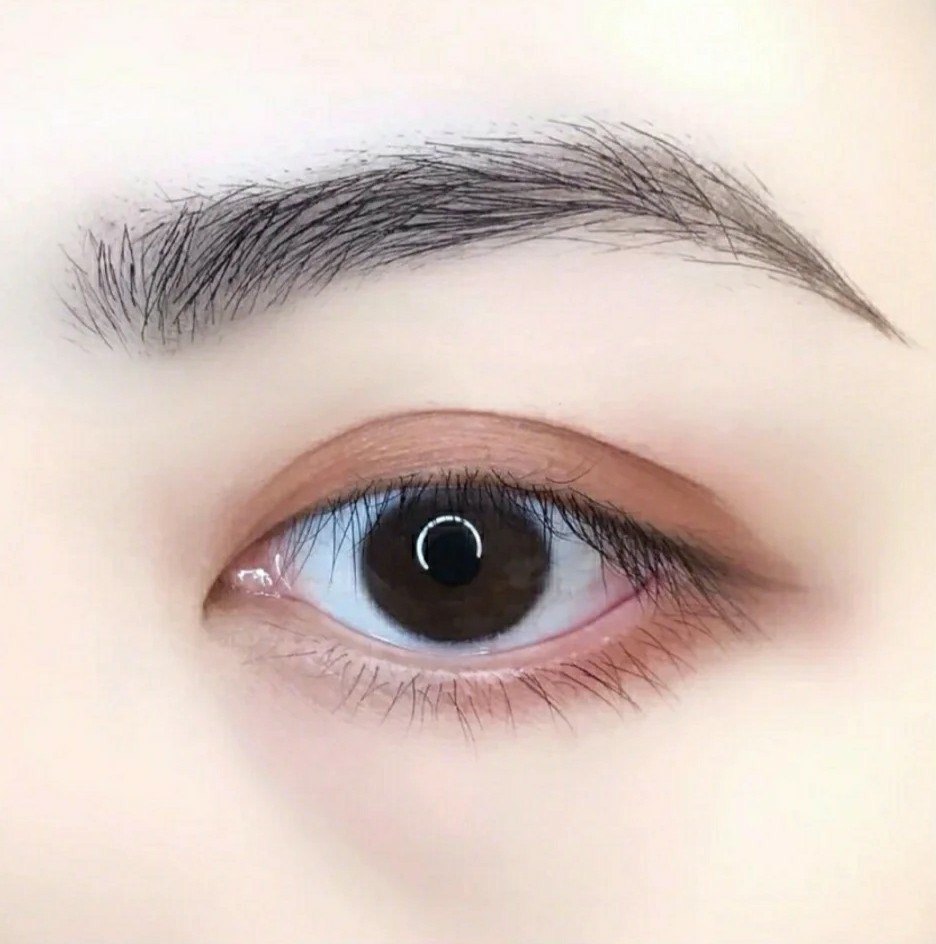 欧式眉毛图片(还在化千篇一律的粗眉吗) - 赤虎壹号