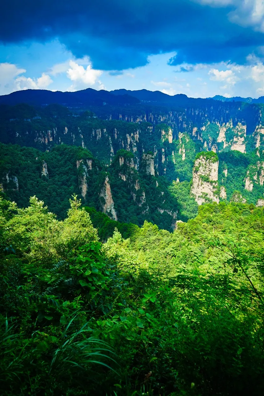 张家界含泪闭园后,又被封神:第一张就美哭了