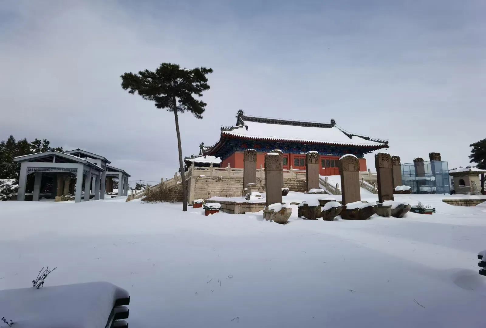 拉拉屯的故事全集43有哪些 _飞翔号