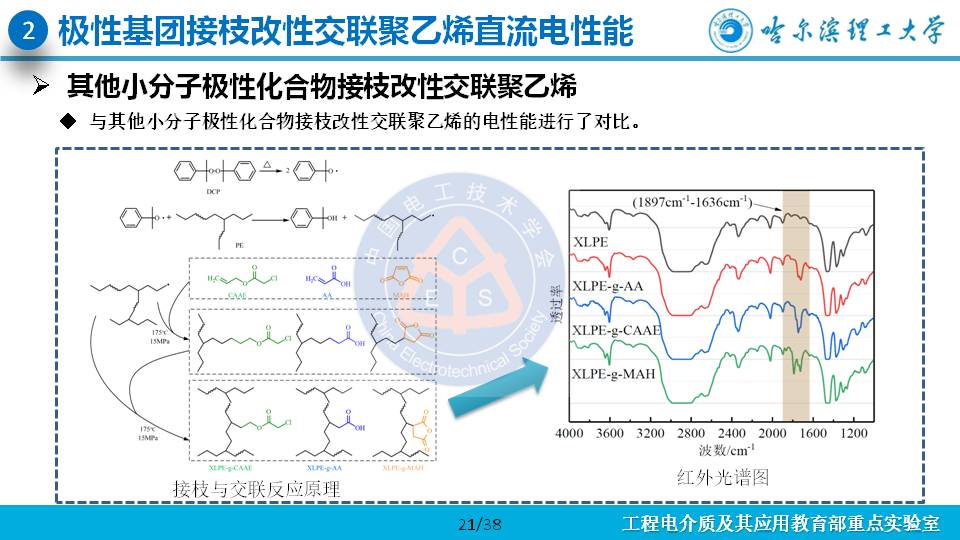 哈尔滨理工大学杨佳明副教授：深陷阱改善交联聚乙烯电性能的研究