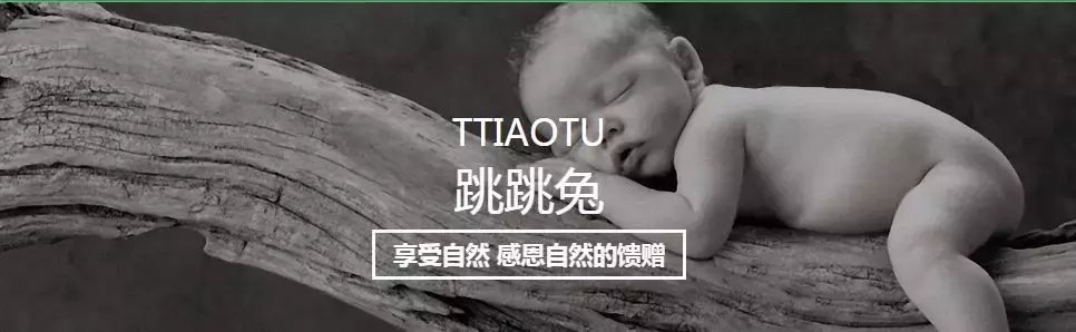 大王椰、莫干山、兔宝宝等“泛家居圈”2018十大板材品牌评选