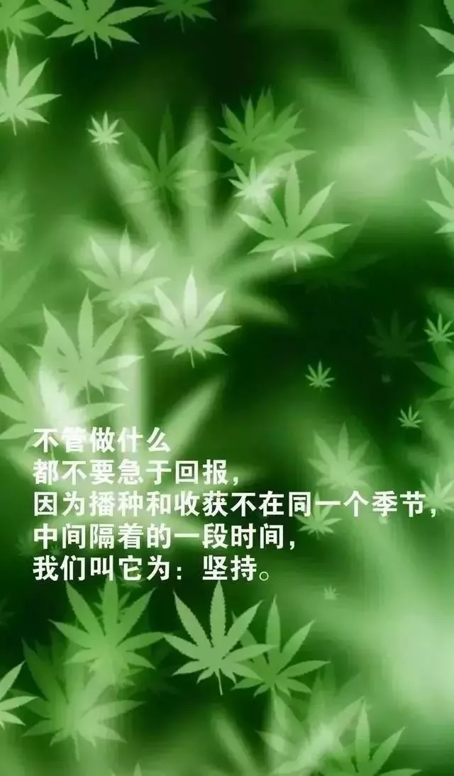 努力奋斗的早安句子，适合发朋友圈的早安心语正能量