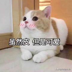 如何将MP4转换为MPG？这个方法超简单