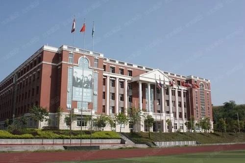 一年学费20万，在重庆上个小学也太贵了吧！看完数据你就知道了