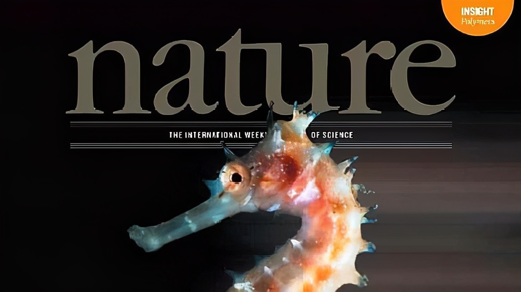 浙理工的研究生发论文创学校历史，回乡考公务员，为何不读博？