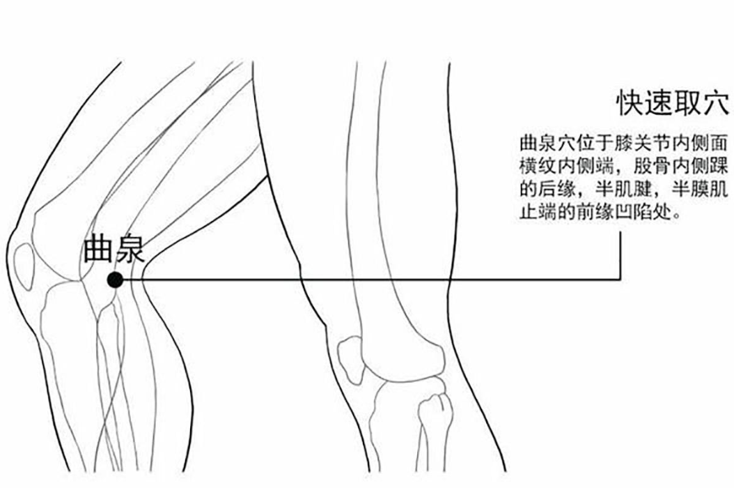 膝盖内侧的疼痛怎么选穴？医生：虽然病因很多，但是都可选曲泉