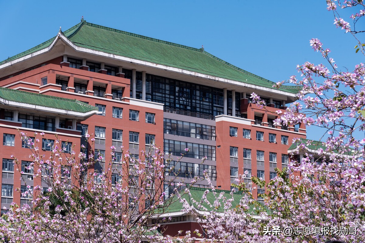 广东很低调的一所大学，学科实力强，填志愿时不要直接忽略