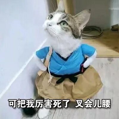 猫咪表情包合集｜谁还不是谁的小公举呢